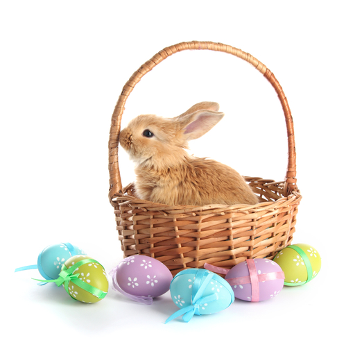 How to Make Your Easter Extra Sweet in Exton